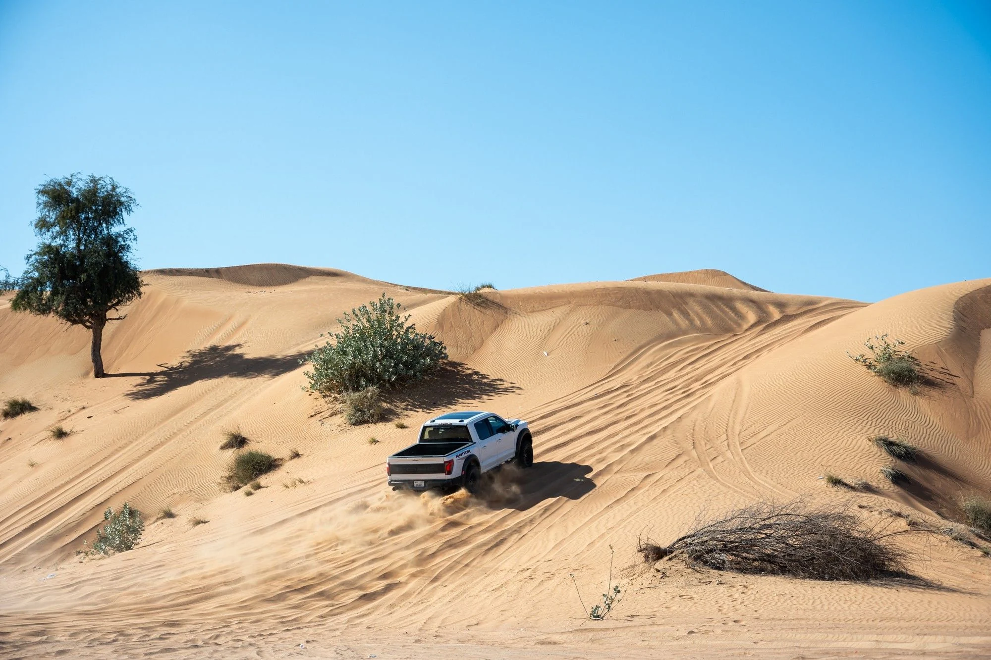 A white Ford F-150 Raptor follows curved tyre tracks up a golden dune.
