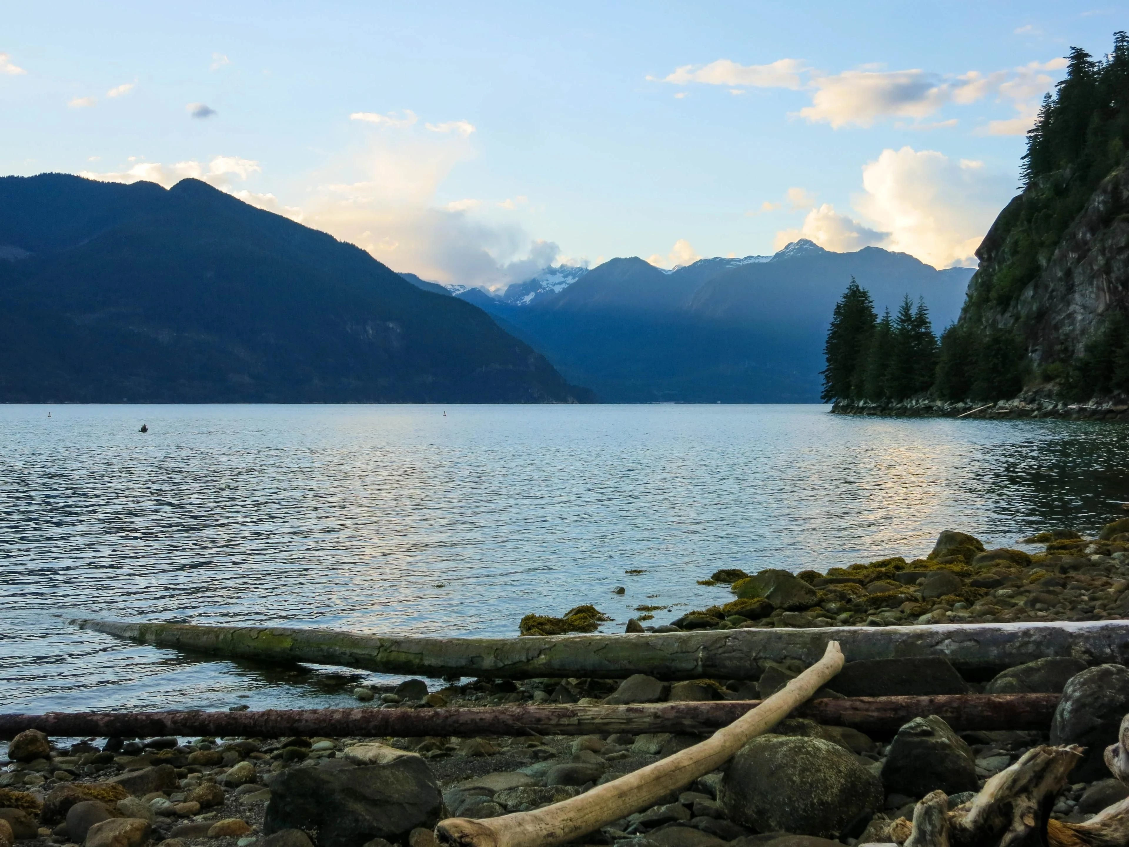 Driftwood and shoreline rocks frame calm water below steep, forested mountains.