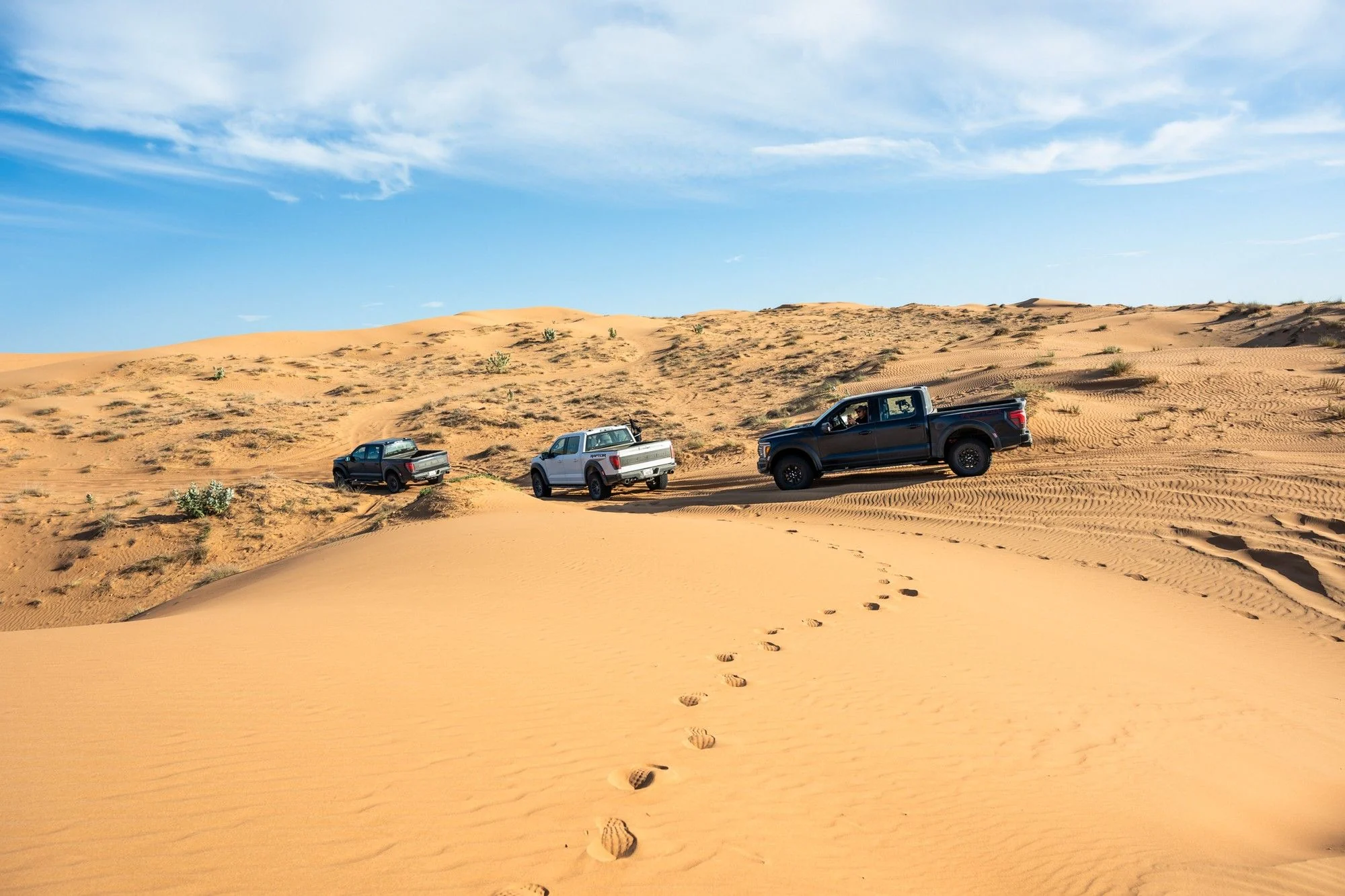 Three Ford F-150 Raptors follow a winding track across golden dunes.