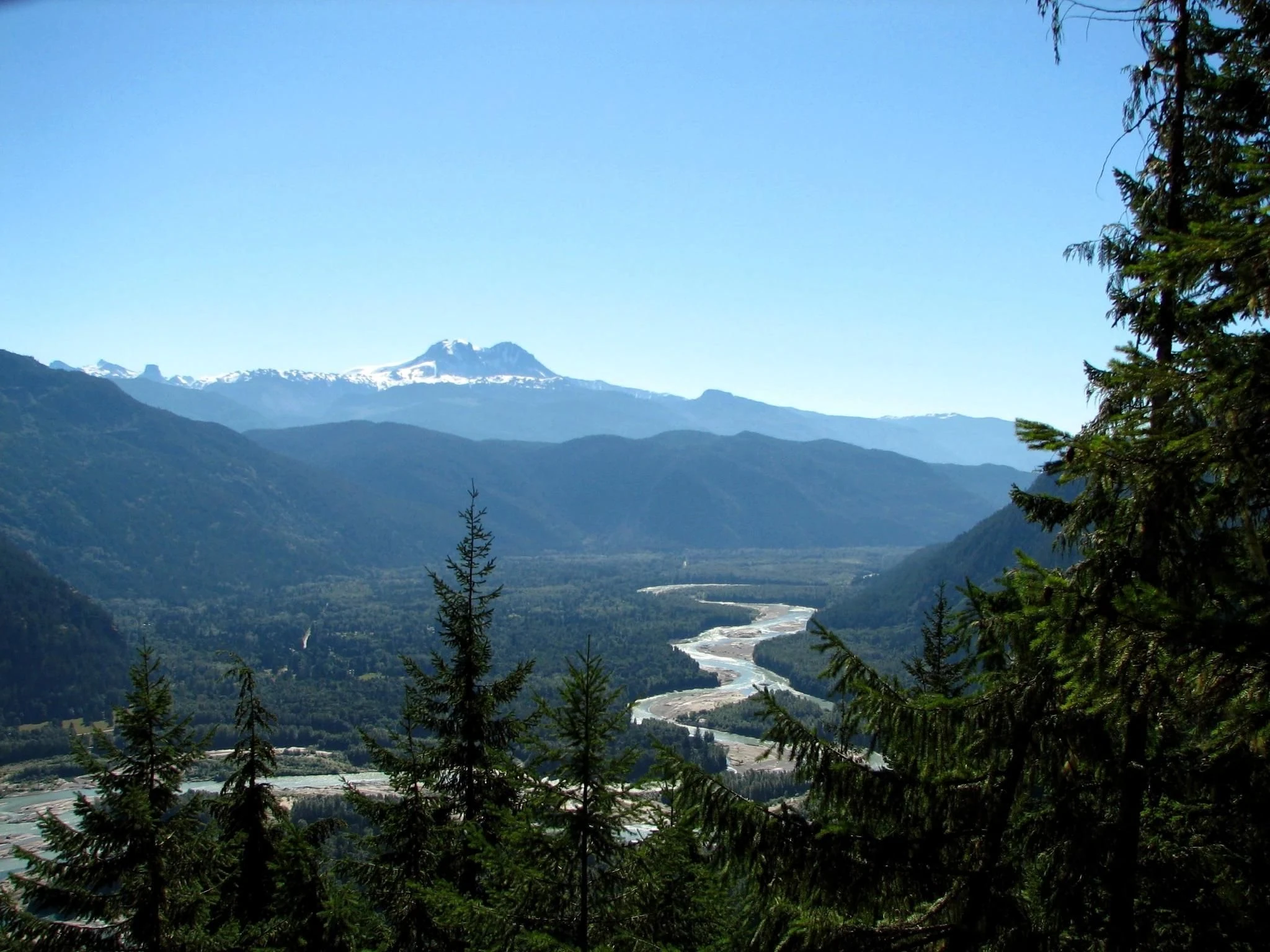 A river winds through a forested valley below distant mountains, seen between foreground conifers.