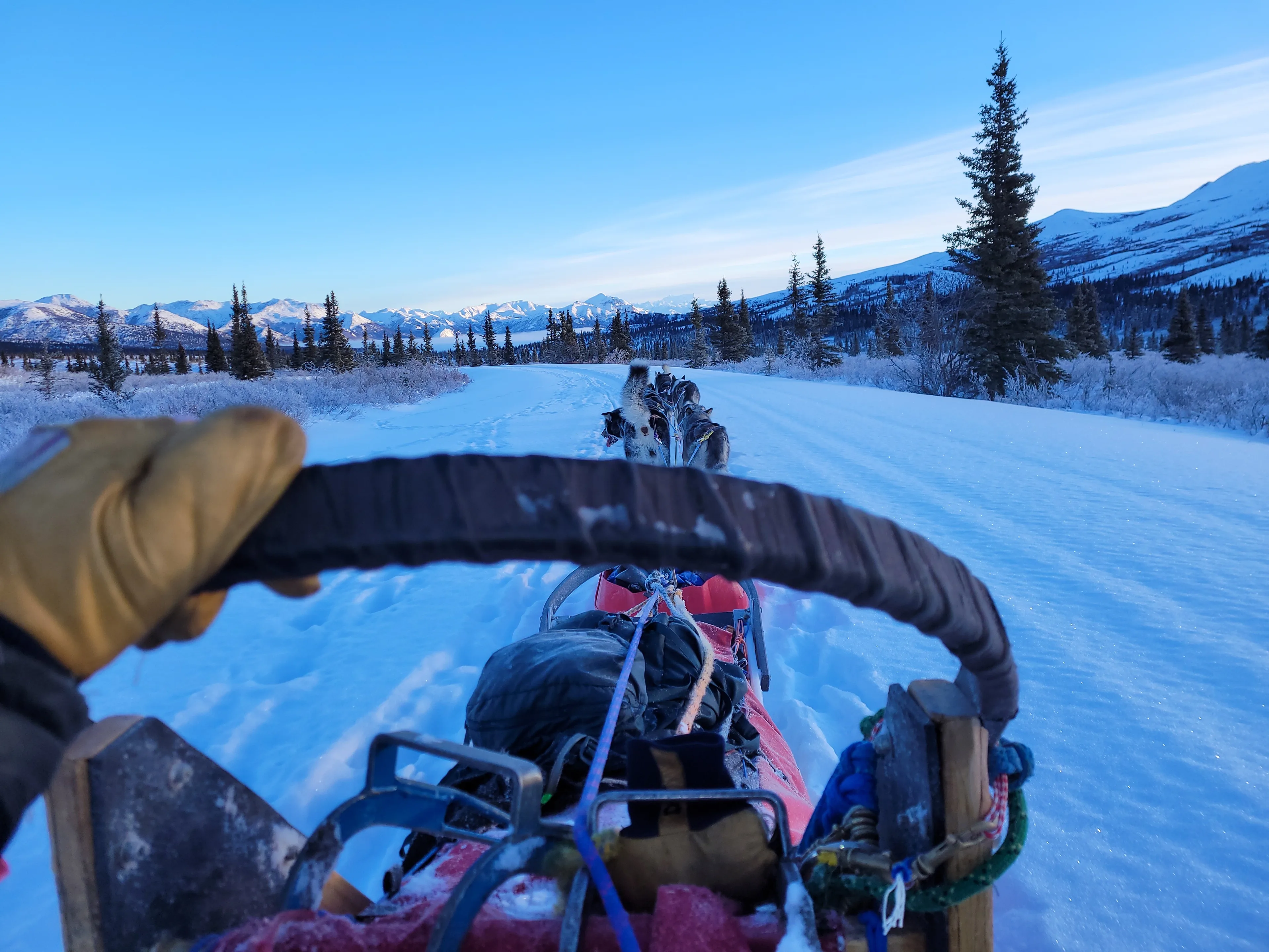 A gloved hand grips the sled handle above packed equipment as the dog team pulls ahead.